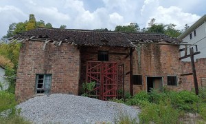 一个正厅一个副处，两名“蔡光辉”落马竟是亲兄弟，父亲称长子曾改名|红星调查