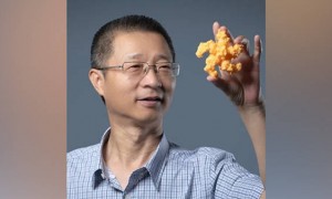 今年两院院士增选候选人名单有哪些看点？“85后”亮相，尖端领域群星闪耀